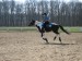 IMG_1754_9_1_1_11_1.JPG