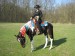 IMG_1876_11_1_1_13_1.JPG